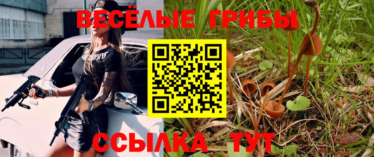 Галлюциногенные грибы GOLDEN TEACHER  Псилоцибиновые грибы мицелий  Вход с VPN  Оренбург 